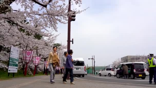 Hirosaki park třešňové květy matsuri festival na jaře slunečný den ráno. Návštěvníci vychutnat krásu plné květy růžové u vnějšího příkopu. Prefektura Aomori, region Tohoku, Japonsko - 24. dubna 2019 — Stock video