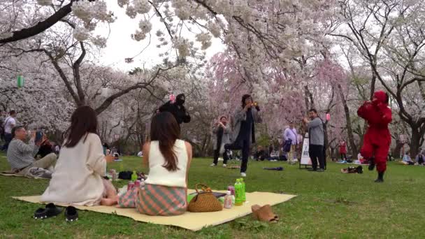 Hirosaki Park ανθίζει κερασιάς Matsuri φεστιβάλ την άνοιξη ηλιόλουστη μέρα το πρωί. οι επισκέπτες απολαμβάνουν ομορφιά πλήρη άνθιση ροζ λουλούδια sakura. Aomori Prefecture, Tohoku Region, Ιαπωνία - 24 Απριλίου 2019 — Αρχείο Βίντεο