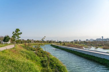 Taichung Central Park Shuinan Ekonomi ve Ticaret Bölgesi 'nde güneşli bir günde. Eski Shuinan Havaalanı, bir sürü yeşil alan, Tayvan 'ın en büyük ikinci parkı. Xitun Bölgesi, Taichung Şehri