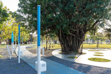 Taichung Central Park Shuinan Ekonomi ve Ticaret Bölgesi 'nde güneşli bir günde. Eski Shuinan Havaalanı, bir sürü yeşil alan, Tayvan 'ın en büyük ikinci parkı. Xitun Bölgesi, Taichung Şehri