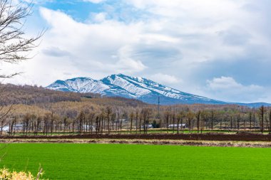 Kırsal alanlar. Yuvarlanan dağ sıraları, tarlalar ve mavi gökyüzü, yüksek enlemde güneşli bir günde, yüksek baharda, beyaz bulutlar.