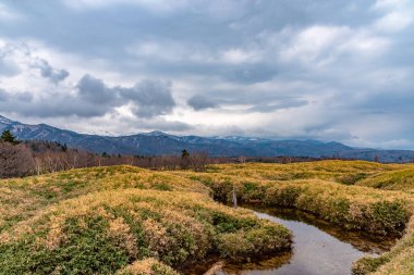 Shiretoko Goko Beş Göl Bölgesi. Yüksek enlemde, baharda, dağ sıraları ve sulak arazi. Shiretoko Ulusal Parkı, Shiretoko Yarımadası, Shari Kasabası, Hokkaido, Japonya