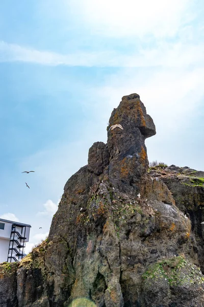 고질라 Godzilla Rock Godzillaiwa 우토로어 어항에 몬스터 고질라처럼 바위이다 시레토코 — 스톡 사진