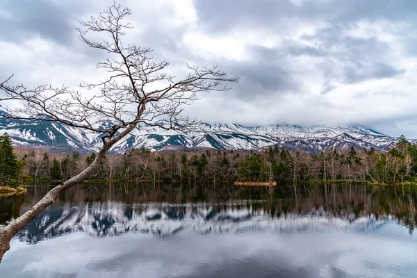 Terceiro Lago Shiretoko Goko Cinco Lagos Área Cordilheira Rolante Floresta — Fotografia de Stock