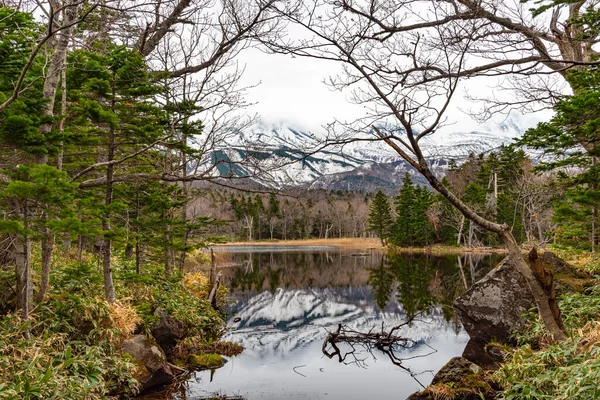 Segundo Lago Shiretoko Goko Cinco Lagos Área Cordilheira Rolante Floresta — Fotografia de Stock