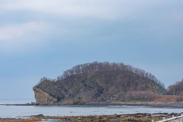 在乌托罗尼希 一块岩石看起来就像一只巨龟 日本北海道Shiretoko半岛沙里镇 — 图库照片