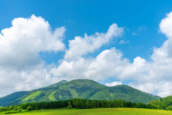 Mt. Niseko-Annupuri en primavera día soleado. Paisajes de naturaleza rural, cielo azul y nubes blancas sobre fondo. Ciudad Niseko, Subprefectura de Shiribeshi, Hokkaido, Japón — Foto de Stock