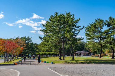 Hokkaido, Japonya - 15 Ekim 2019: Onuma Quasi Ulusal Parkı. Güneşli gün manzarası. Oshima Kaymakamlığı, Nanae Kasabası.