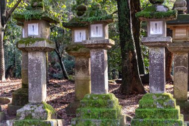 Nara Bölgesi, Japonya - 17 DEC 2018: Kasuga Grand Shrine, Nara Park bölgesinde taş fenerler