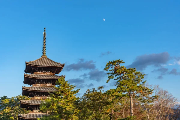 Пятиэтажная пагода внутри буддийского храма Кофуку-дзи. один из мощных семи великих храмов в городе Нара, префектура Нара, Япония — стоковое фото