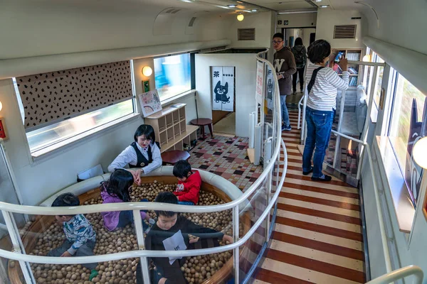 Префектура Кумамото, Япония - 4 января 2020 года: скоростной поезд Aso Boy, эксплуатируемый компанией Kyushu Railway Company (JR Kyushu). Протекает между Кумамото и Миядзи через Асо на главной линии Хохи — стоковое фото