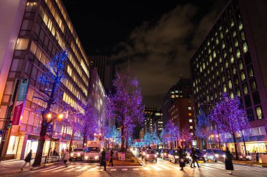 Osaka, Japonya - 24 Aralık 2019: Osaka Işık Festivali. Kış aydınlatma olayları, Midosuji Aydınlanma, Hikari Rönesansı. Popüler turizm merkezi, tatil için seyahat merkezi