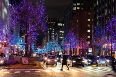 Osaka, Japonya - 24 Aralık 2019: Osaka Işık Festivali. Kış aydınlatma olayları, Midosuji Aydınlanma, Hikari Rönesansı. Popüler turizm merkezi, tatil için seyahat merkezi