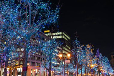 Osaka, Japonya - 24 Aralık 2019: Osaka Işık Festivali. Kış aydınlatma olayları, Midosuji Aydınlanma, Hikari Rönesansı. Popüler turizm merkezi, tatil için seyahat merkezi