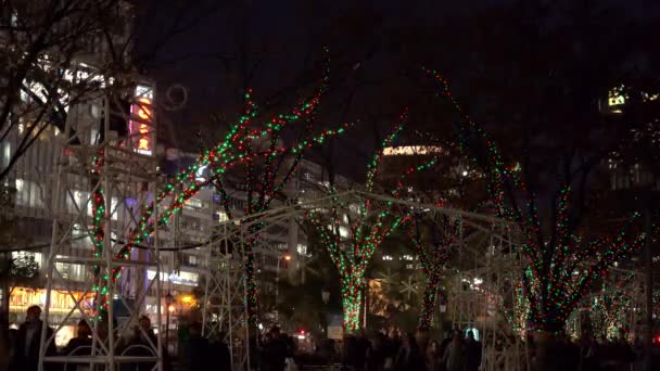 Osaka Japão Dezembro 2019 Festival Das Luzes Osaka Eventos Iluminação — Vídeo de Stock