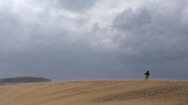 Tottori kum tepelerinde yürüyen bir turist (Tottori Sakyu). Japonya 'nın en büyük kum tepesi, Sanin Kaigan Milli Parkı' nın bir parçası.