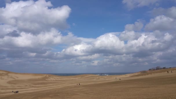 Tottori Sand Dunes Tottori Sakyu Největší Písečná Duna Japonsku Část — Stock video