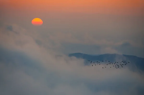 Sonnenaufgang Auf Dem Kamm Des Khambal Den Wolken — Stockfoto