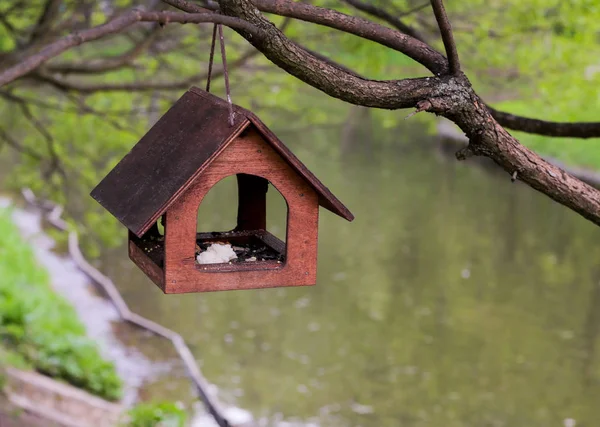 Casa de pássaros de madeira no parque — Fotografia de Stock