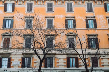 Güzel ağaçlar yanında şehir merkezinde büyük pencereler