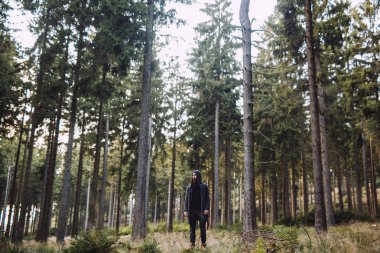 Sakallı adam çok uzun boylu ağaç ile yeşil orman duruyor