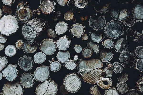 Ağaç kütükleri yığını
