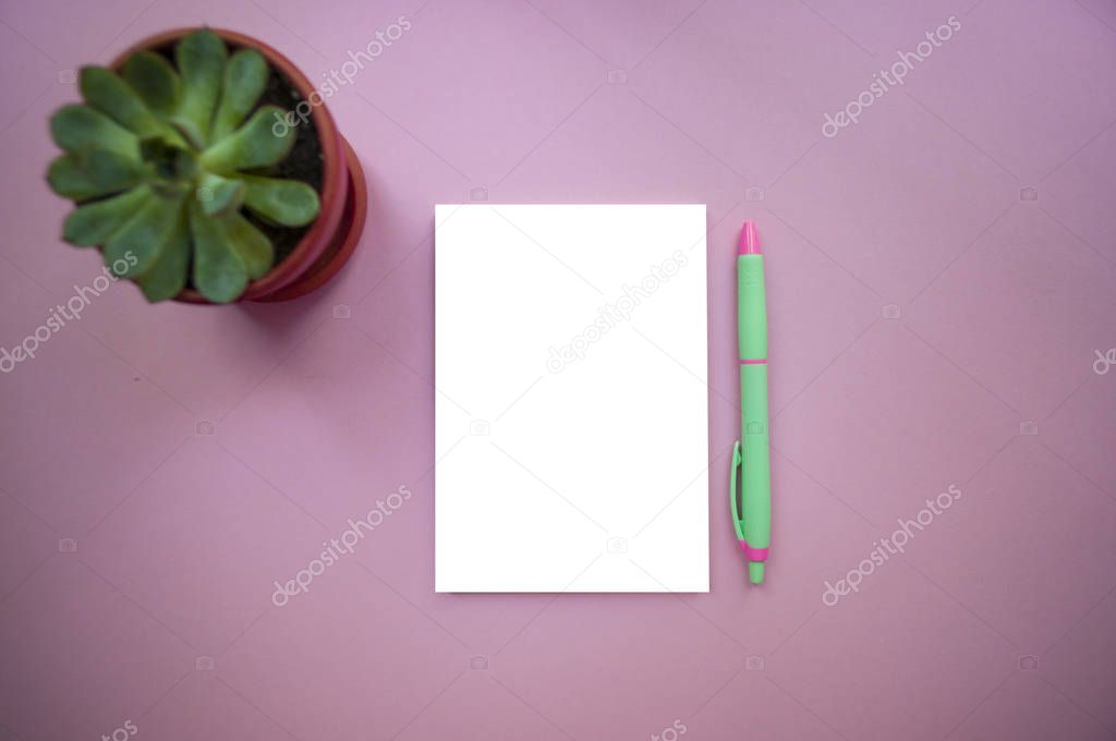 Desk with notepad, pen and succulent.