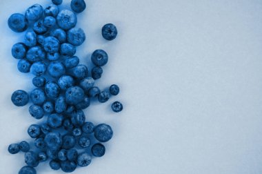 Pastel renkli arka plan üzerinde yaban mersini, düz yatıyordu.