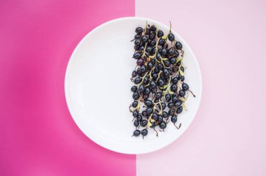 Böğürtlen beyaz bir plaka üzerinde.