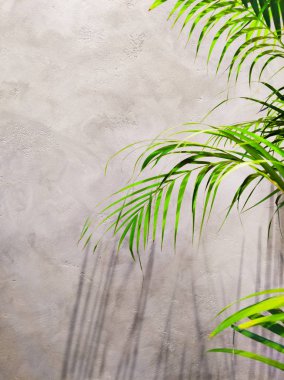 Yaz tropik seyahat konsepti.