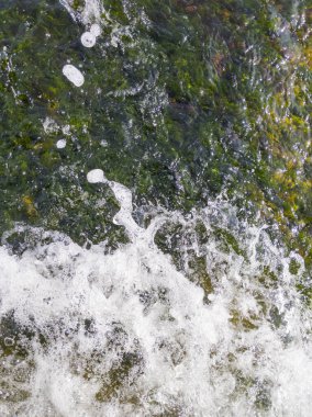 Güneşli bir yaz gününde güzel bir deniz manzarası.