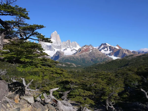 Mount Fitz Roy Och Omgivande Toppar Nära Chalten Santa Cruz — Stockfoto