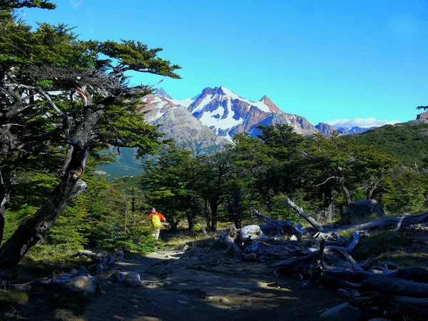 Monte Fitz Roy Picos Circundantes Perto Chalten Santa Cruz Argentina — Fotografia de Stock