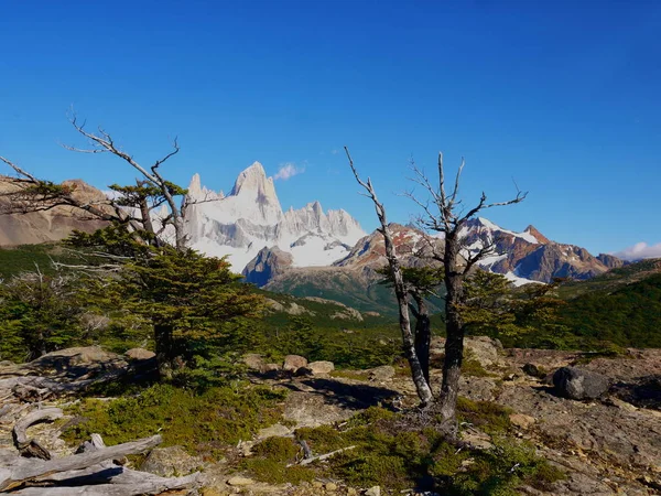Mount Fitz Roy Und Umliegende Gipfel Der Nähe Von Chalten — Stockfoto