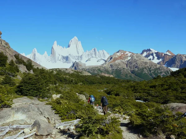 Hora Fitz Roy Okolní Vrcholy Blízkosti Chaltén Santa Cruz Argentina — Stock fotografie