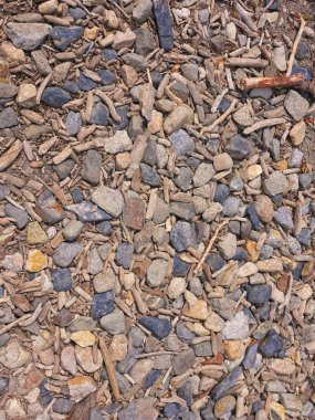 Çakıl taşları ve Twigs arka plan