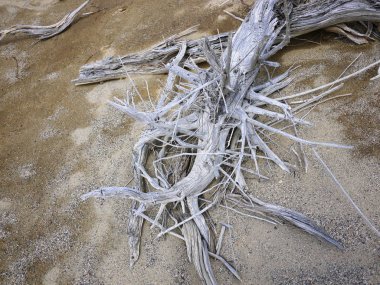 Yıpranmış ahşap arka plan