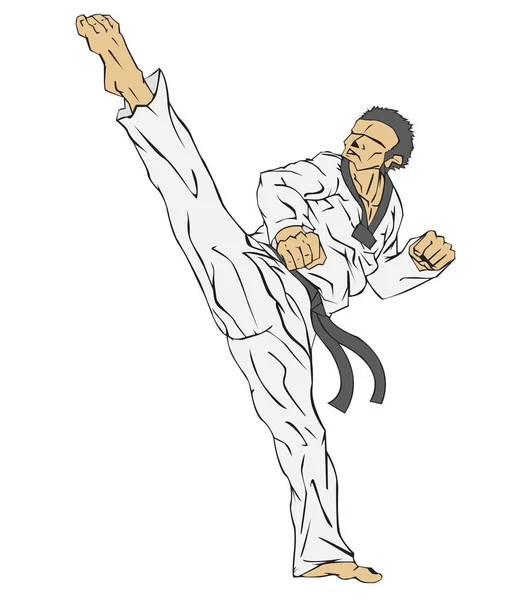 Du taekwondo. Art martial — Image vectorielle