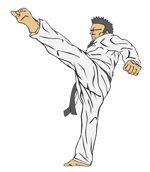 Taekwondo. Arte marziale — Vettoriale Stock