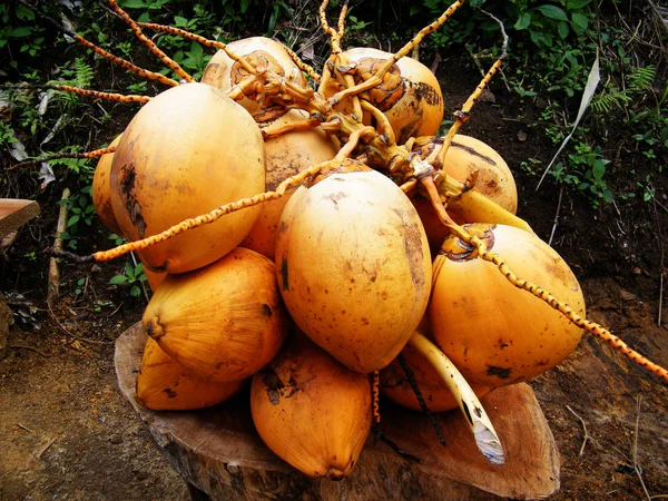 Kung Kokos Klasar Hängande Marknaden Kung Kokos Cocos Nucifera Mängd — Stockfoto