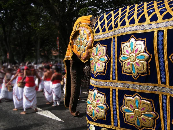 Vackert Klädd Elefanter Procession Kandy Sri Lanka Stockbild