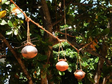 Sinhala ve Tamil Yeni yıl 