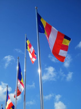 Budist bayrakları mavi gökyüzü. Budist bayrakları bodhi ağacı çevresinde. 