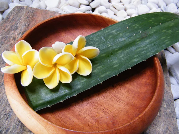 Aloe Vera Drewnianej Tablicy Ayurveda Spa Sri Lanka Wooden Płyty — Zdjęcie stockowe