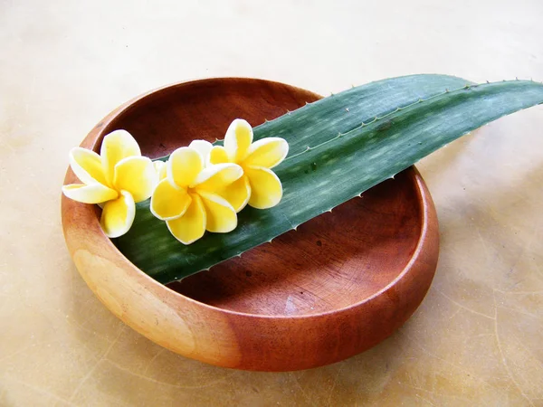 Aloe Vera Drewnianej Tablicy Ayurveda Spa Sri Lanka Wooden Płyty — Zdjęcie stockowe