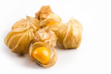 Cape bektaşi üzümü physalis meyve beyaz arka plan üzerinde