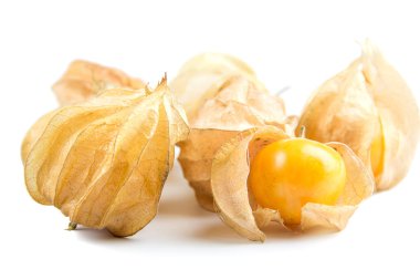 Cape bektaşi üzümü physalis meyve beyaz arka plan üzerinde