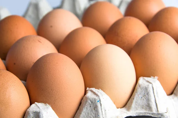 Färska ägg i pappersfacket — Stockfoto