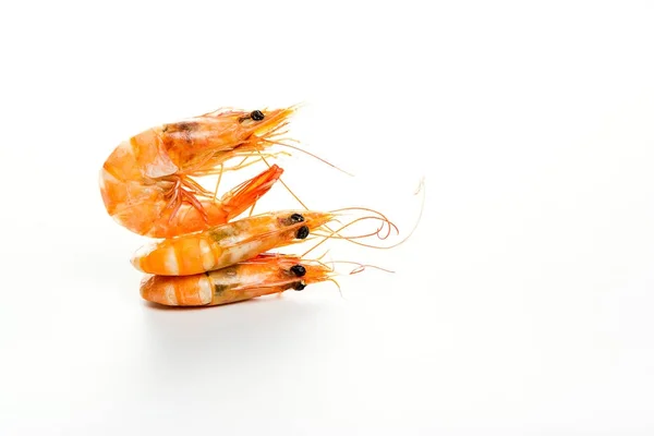熟虾, 白底叉子蒸虾 — 图库照片