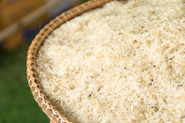 水稻籽粒在篮子里 — 图库照片